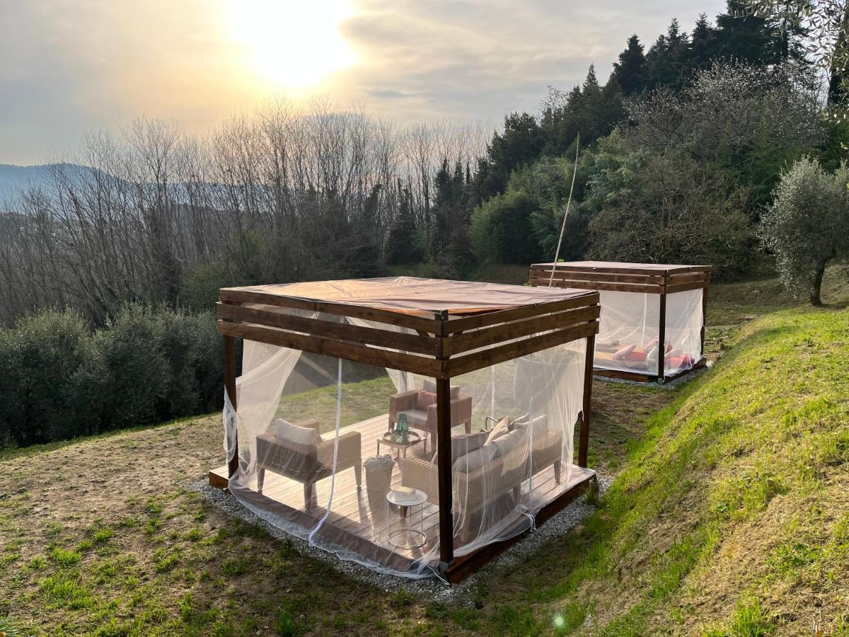 Bed and Breakfast Casa Del Pino Borgo a Buggiano Zewnętrze zdjęcie
