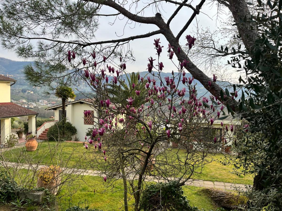 Bed and Breakfast Casa Del Pino Borgo a Buggiano Zewnętrze zdjęcie