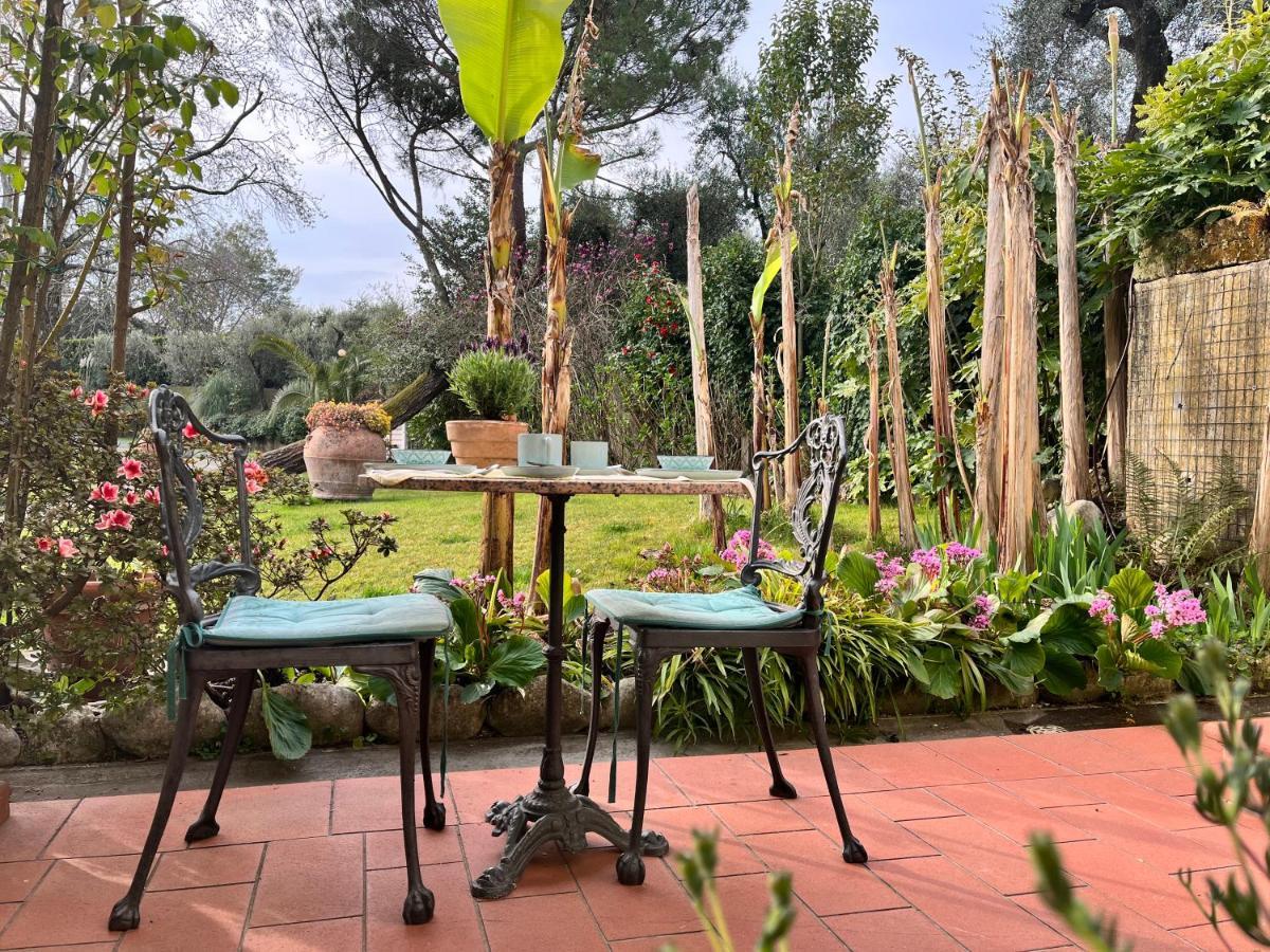 Bed and Breakfast Casa Del Pino Borgo a Buggiano Zewnętrze zdjęcie